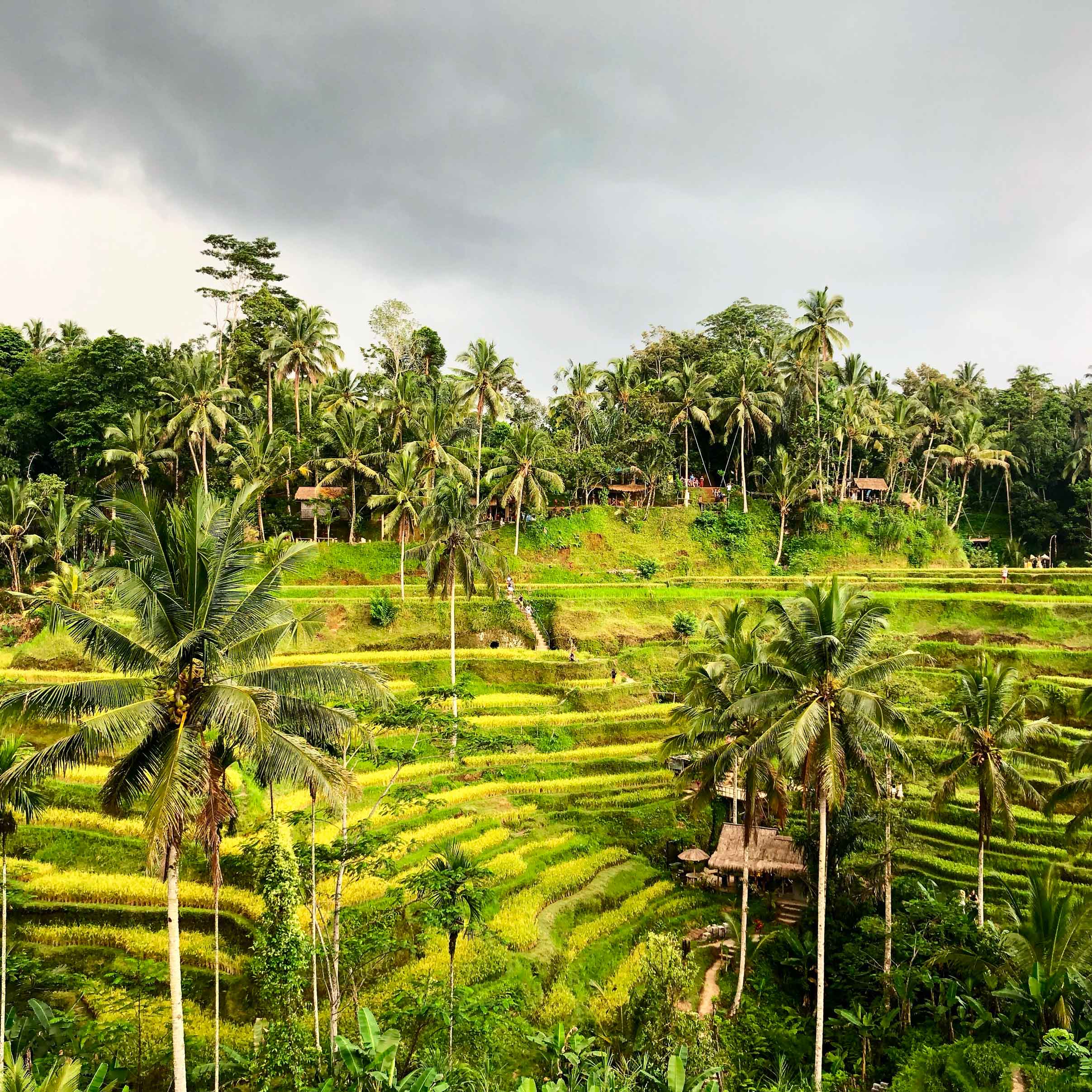 811C2CD6-9708-4492-856B-39FCC817A0C8